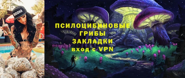 круглые Пересвет