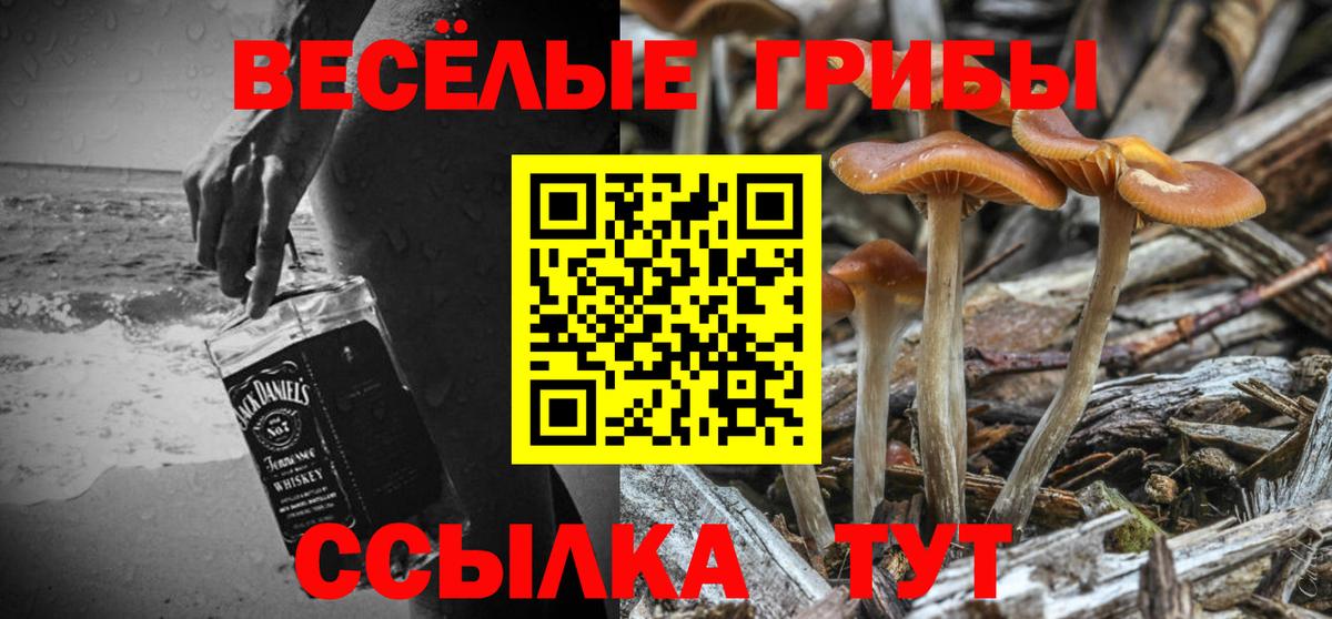 Псилоцибиновые грибы GOLDEN TEACHER Туапсе