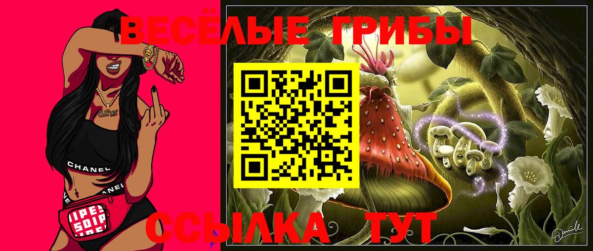 Туапсе  где купить наркоту  Вход с VPN  Псилоцибиновые грибы ЛСД 